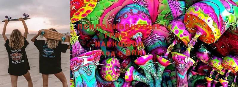 Псилоцибиновые грибы MAGIC MUSHROOMS  Лагань 